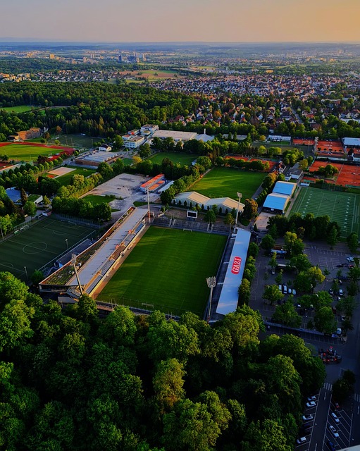 烈竞争进入 烈竞争进入