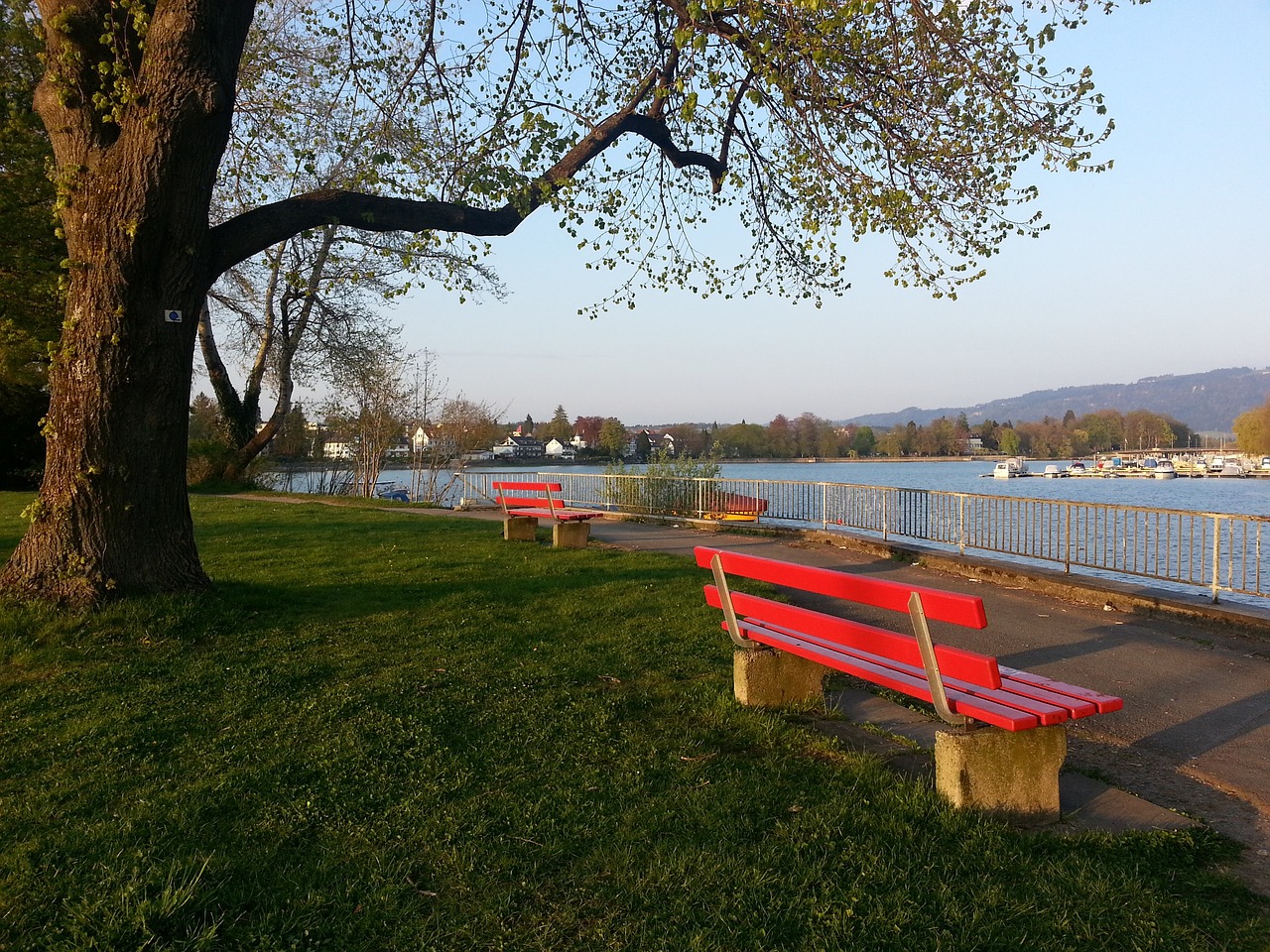 无论是市场 无论是市场