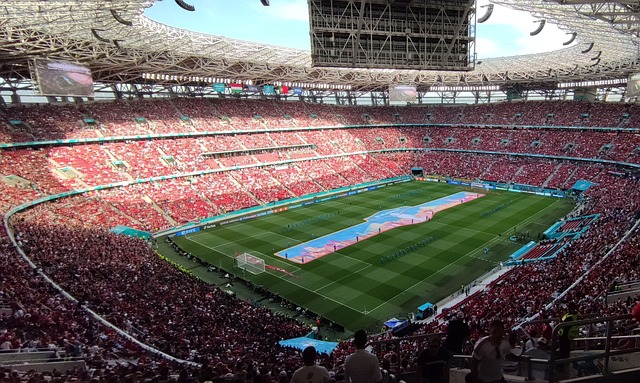 力和出色的 力和出色的