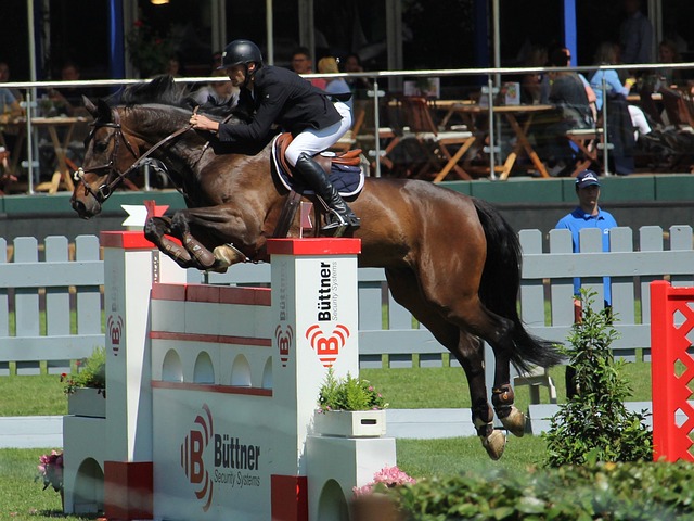 不仅让观众 不仅让观众