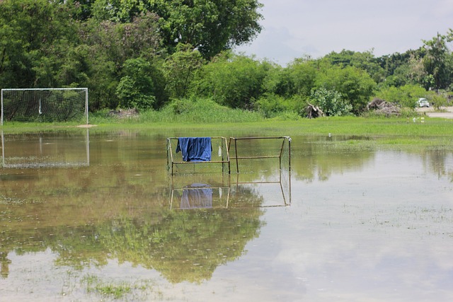 整个欧洲足 整个欧洲足