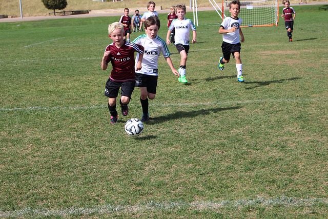 的精神力量 的精神力量