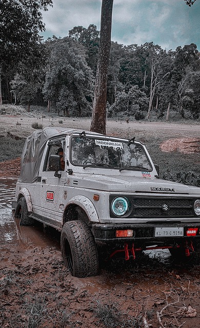 的变化让这 的变化让这