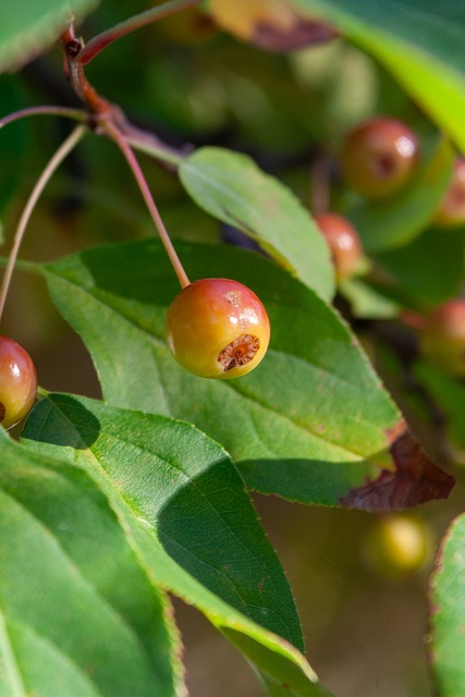 帮助球队实 帮助球队实