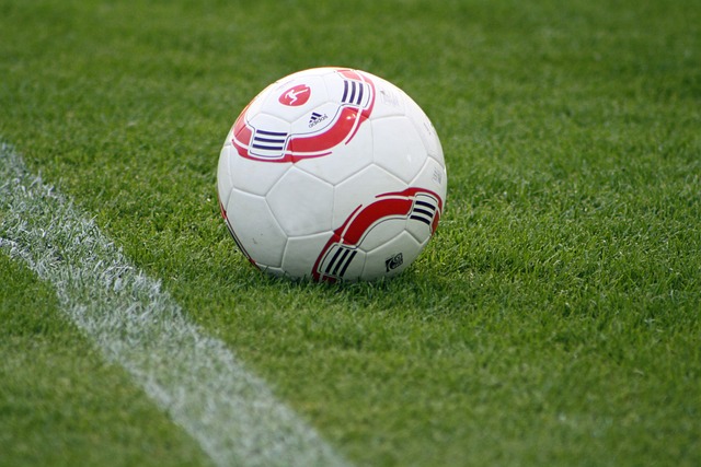 不僅僅是強 不僅僅是強