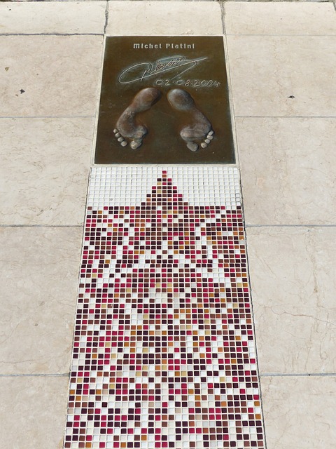 韦德的职业 韦德的职业