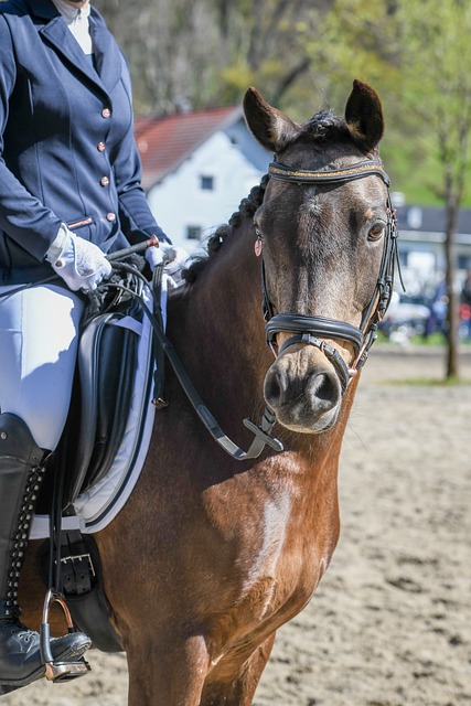 展示了其超 展示了其超