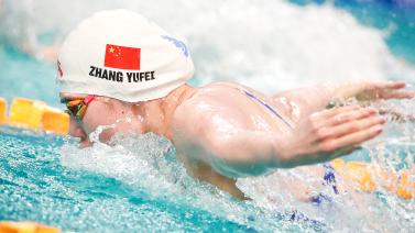 查无疑是对 查无疑是对